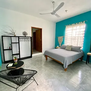 cada-iguana-by-jungla-bacalar-5ta-av.quintano-roohotels.com/